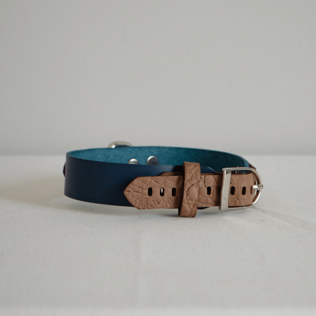 Leather Dog Collar – The Call of the Wild