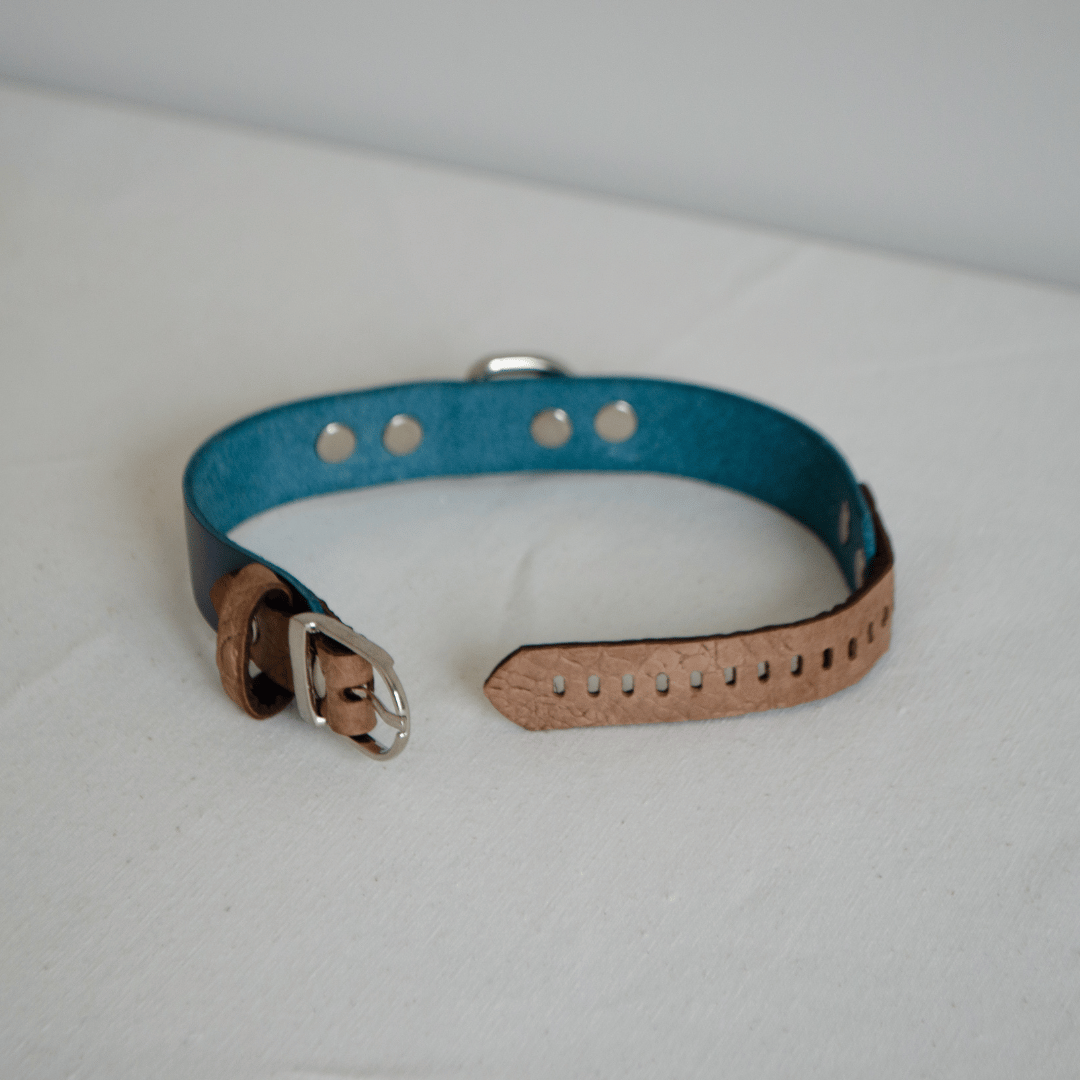 Leather Dog Collar – The Call of the Wild