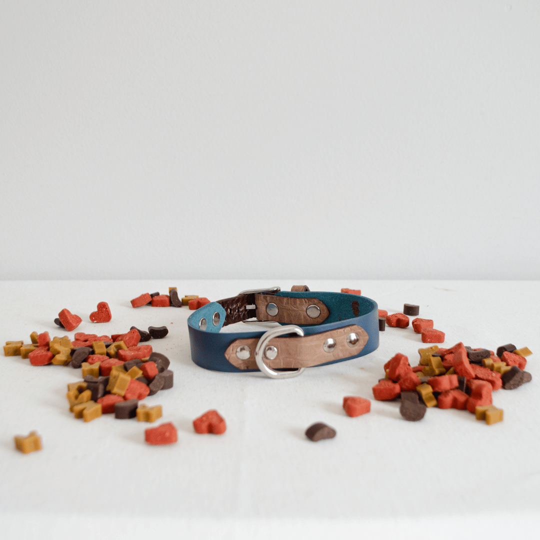 Leather Dog Collar – The Call of the Wild