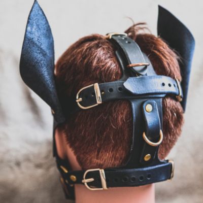 DoberMAN  Mask