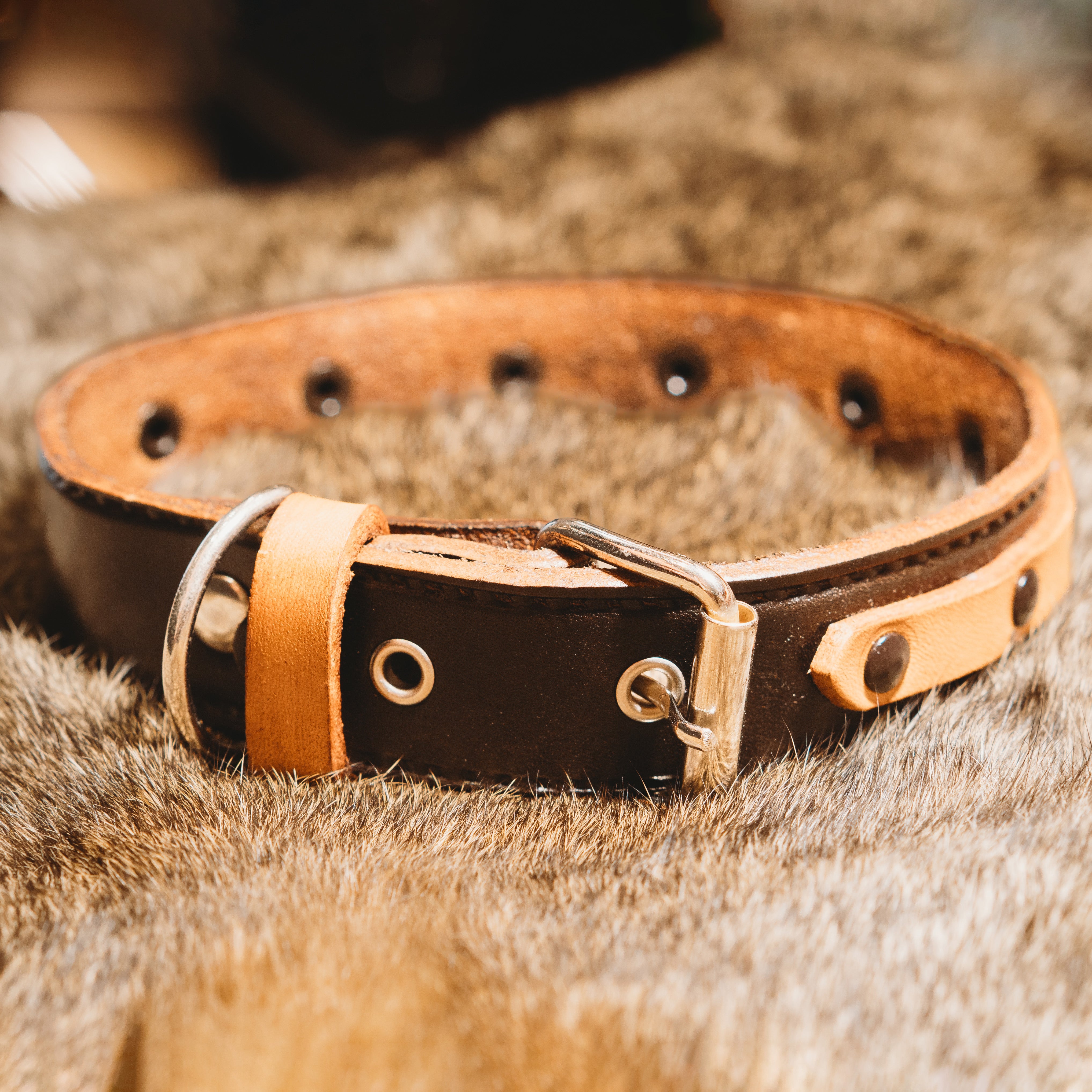 Heritage Dog Collar