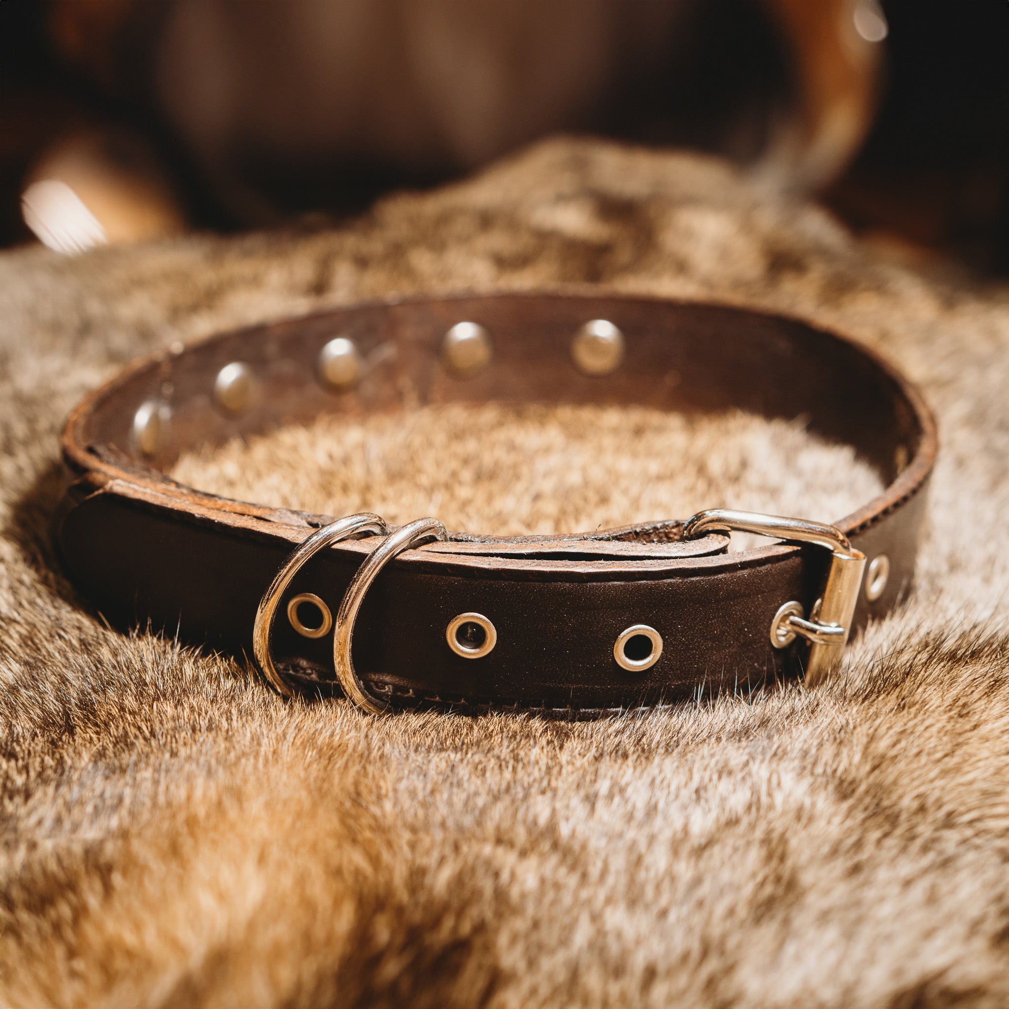 Heritage Dog Collar