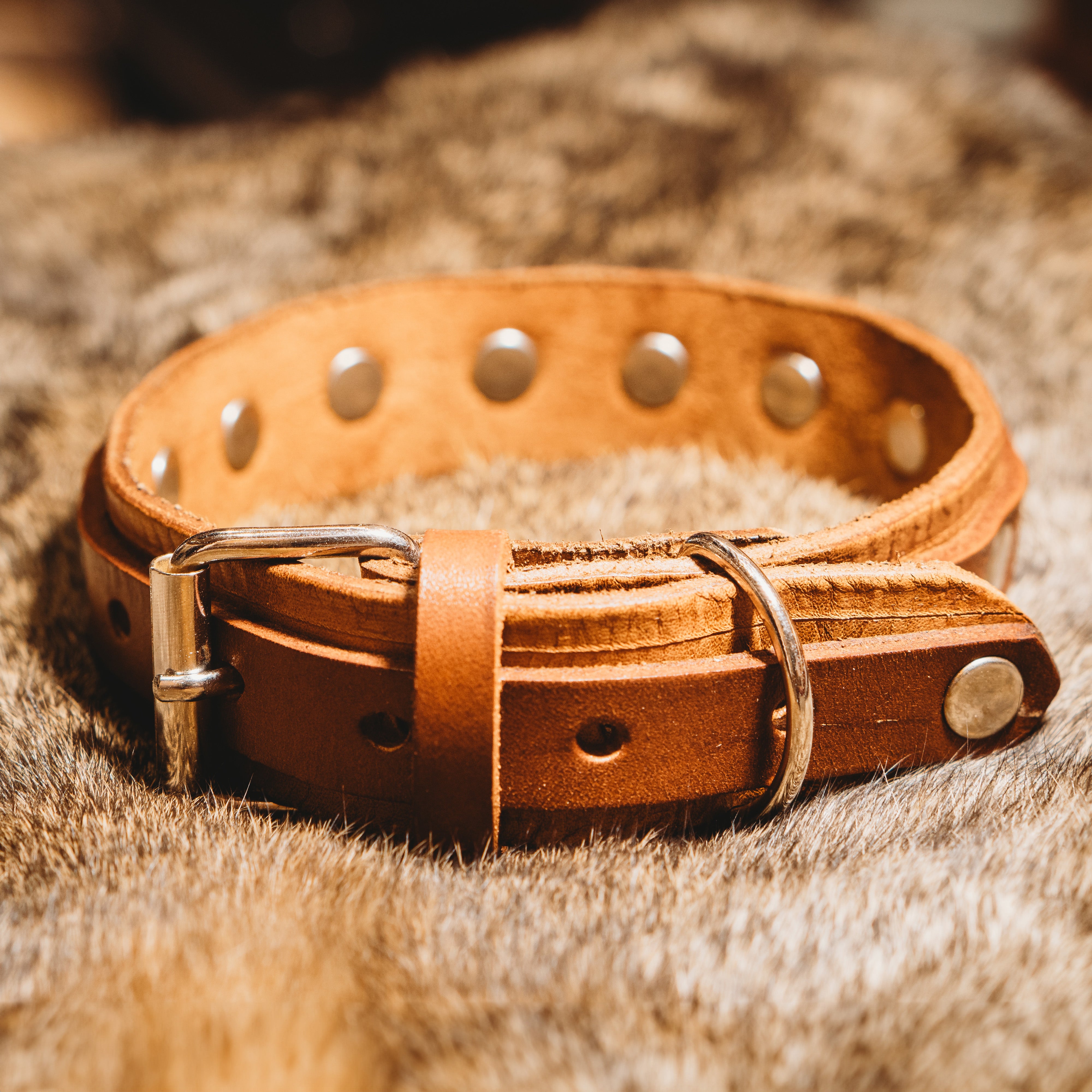 Heritage Dog Collar