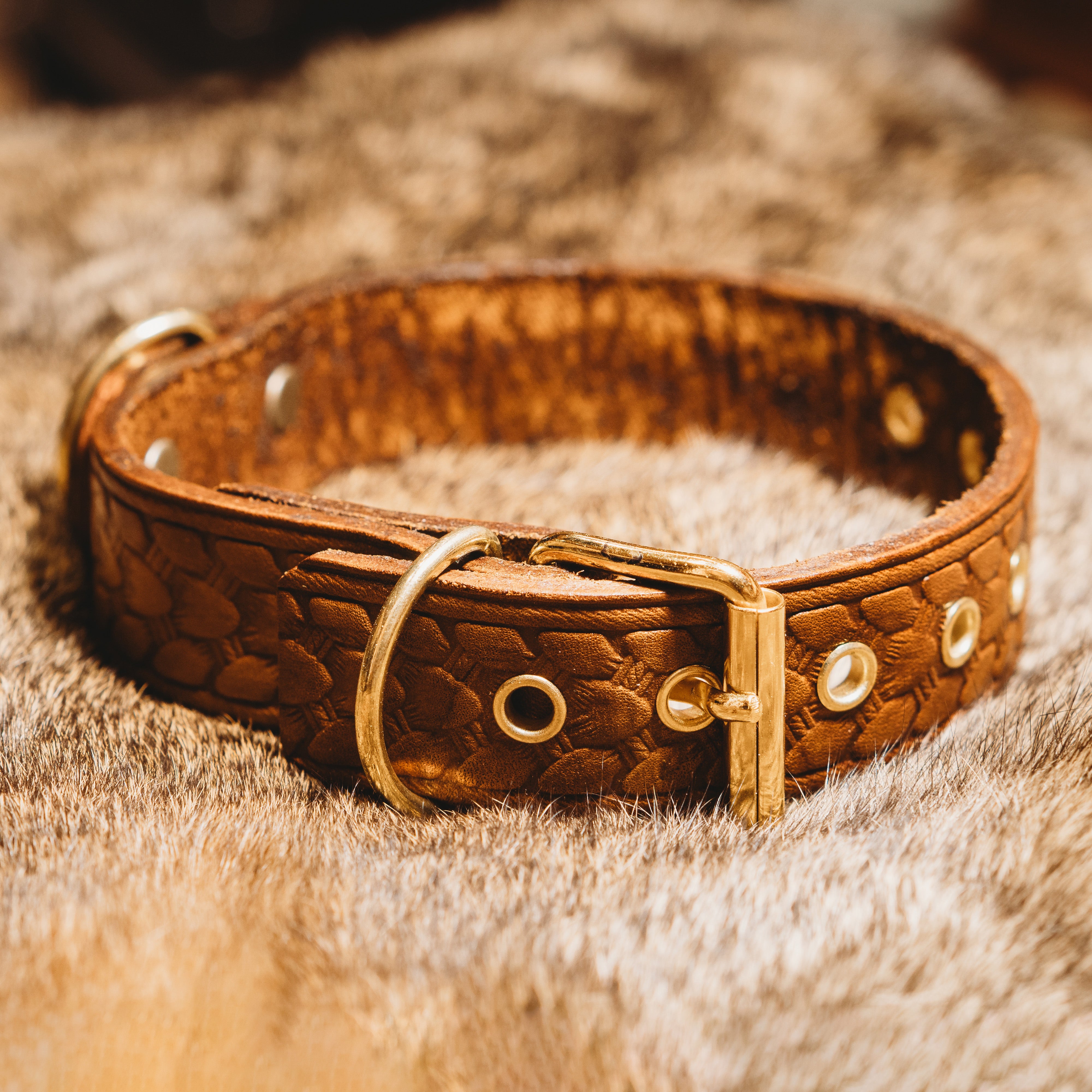 Heritage Dog Collar