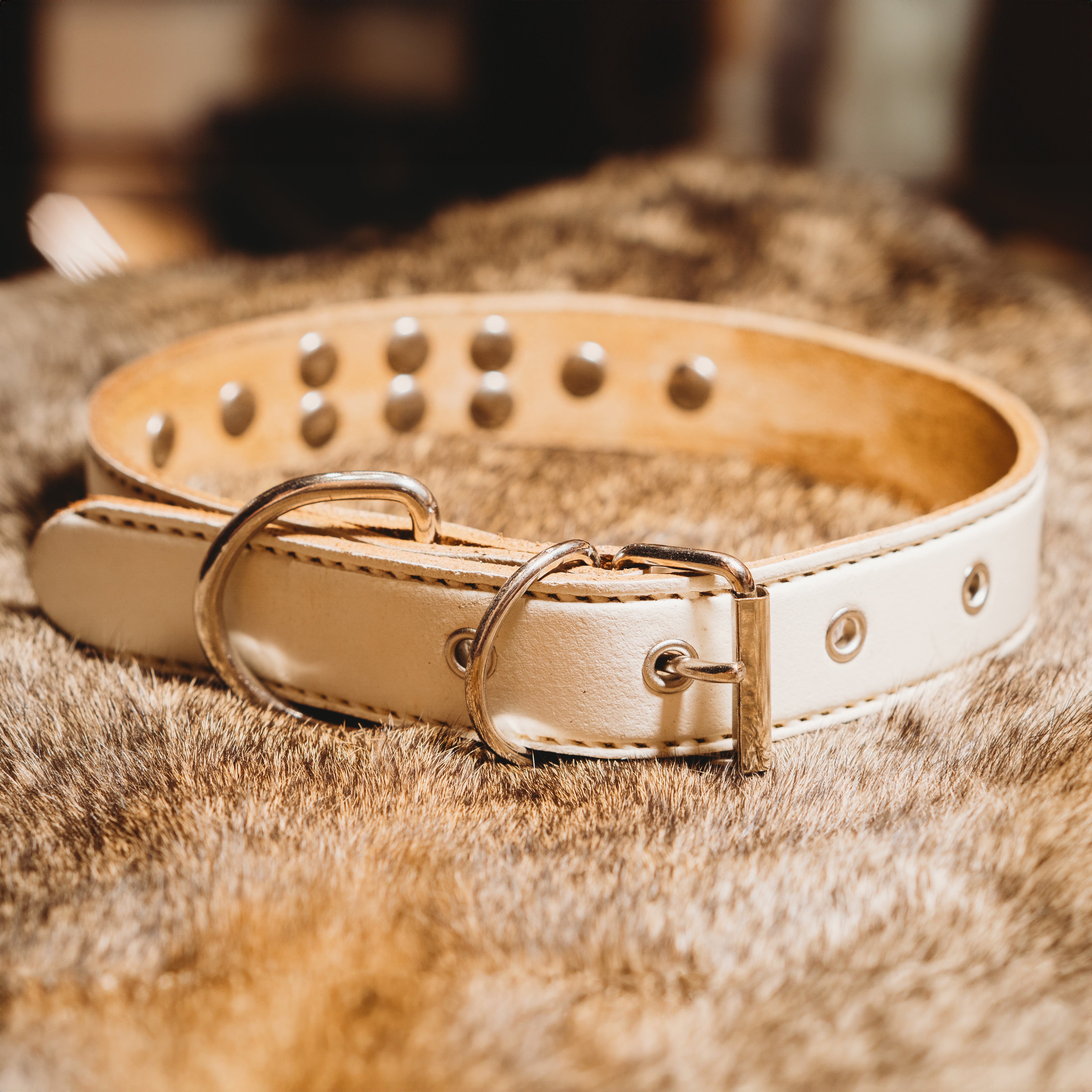 Heritage Dog Collar