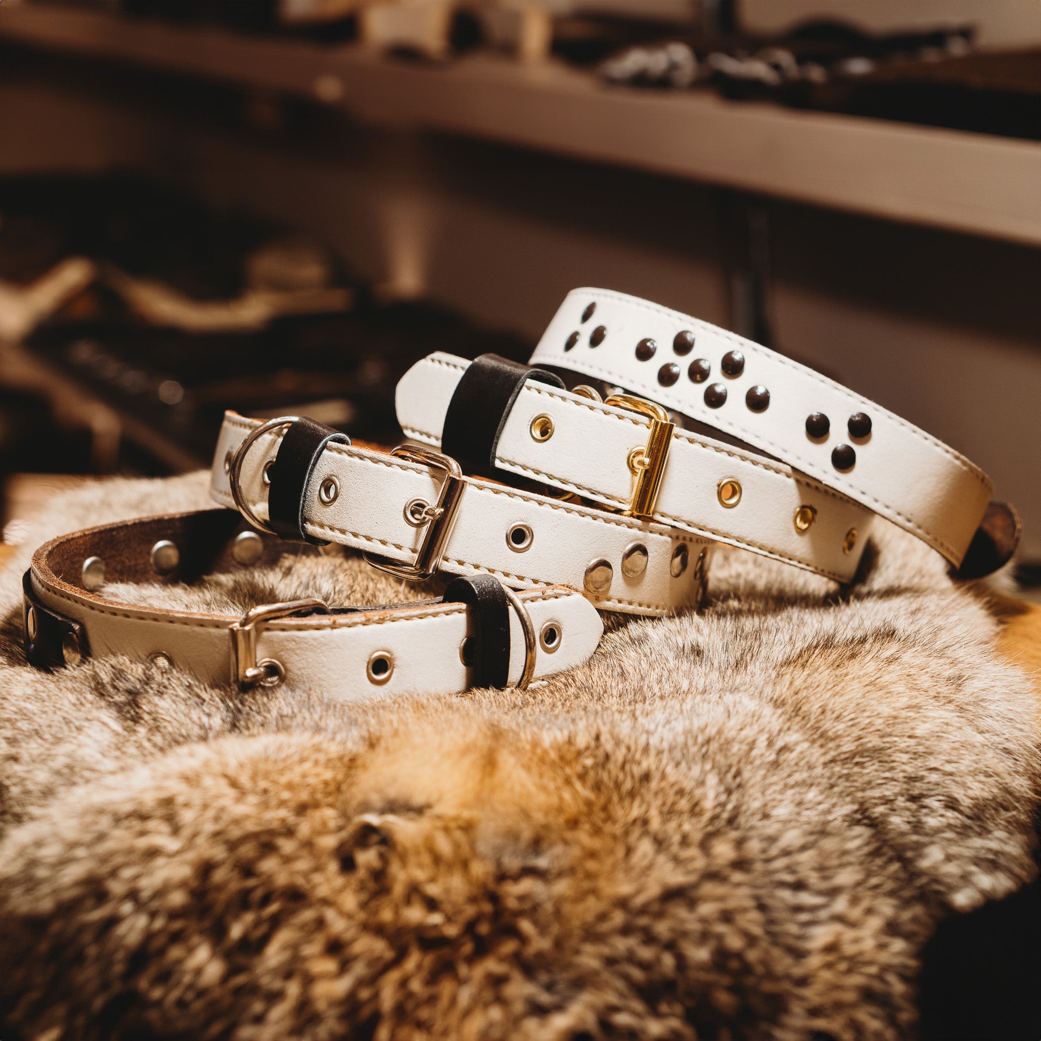 Heritage Dog Collar