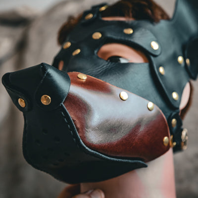 DoberMAN  Mask